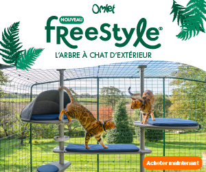 L’arbre à chat d’extérieur Freestyle