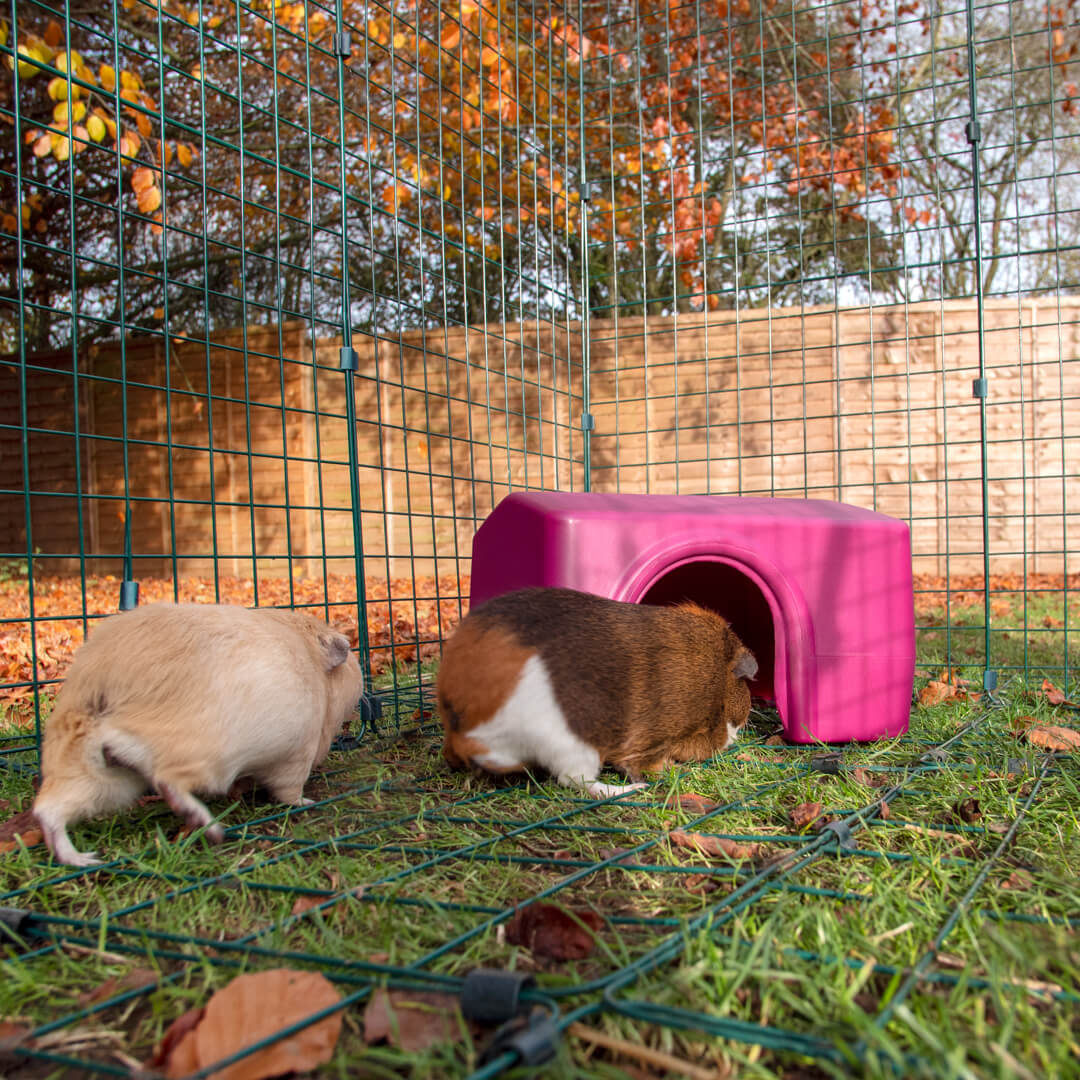 Zippi Guinea Pig Shelter Green Omlet