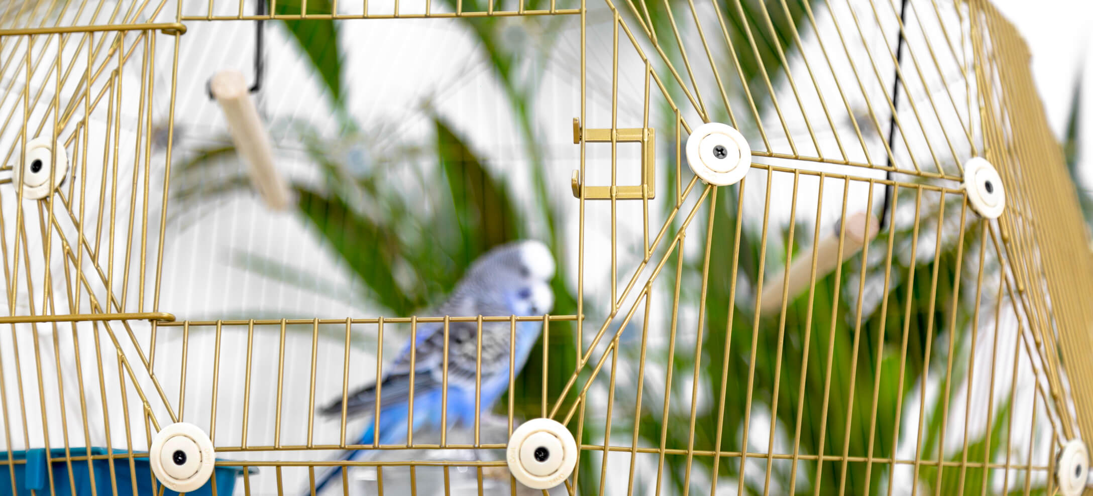 Geo Bird Cage for Parakeets Omlet