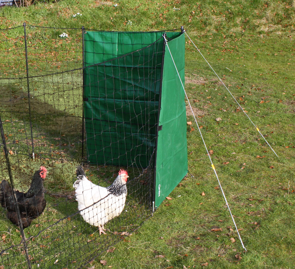 Stunning Fencing For Chicken Coop Wind Protection image