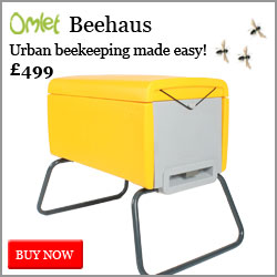 Easy urban beekeeping