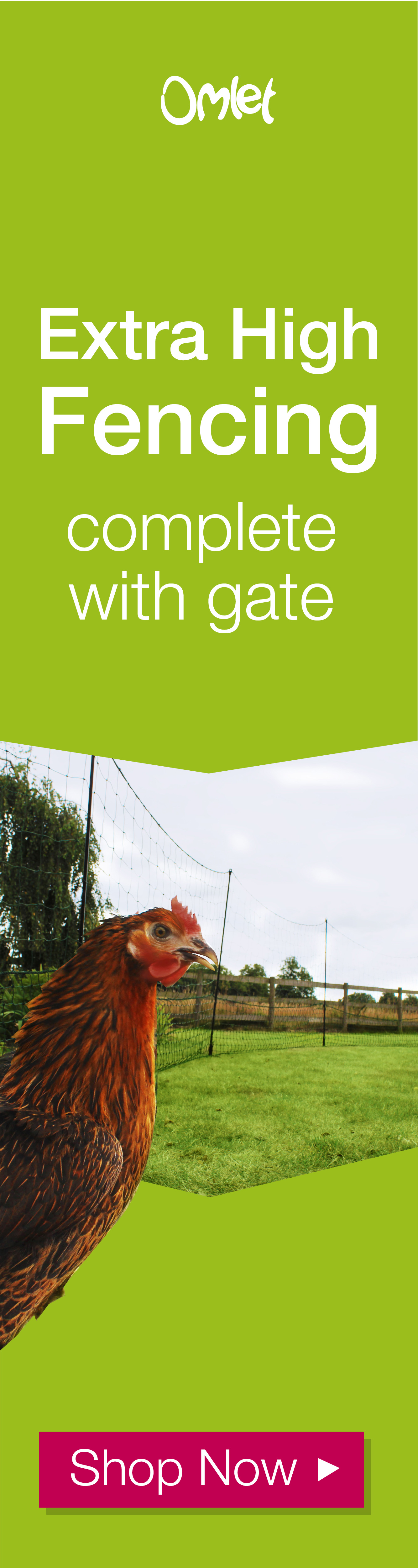 Extra High Fencing complete with gate