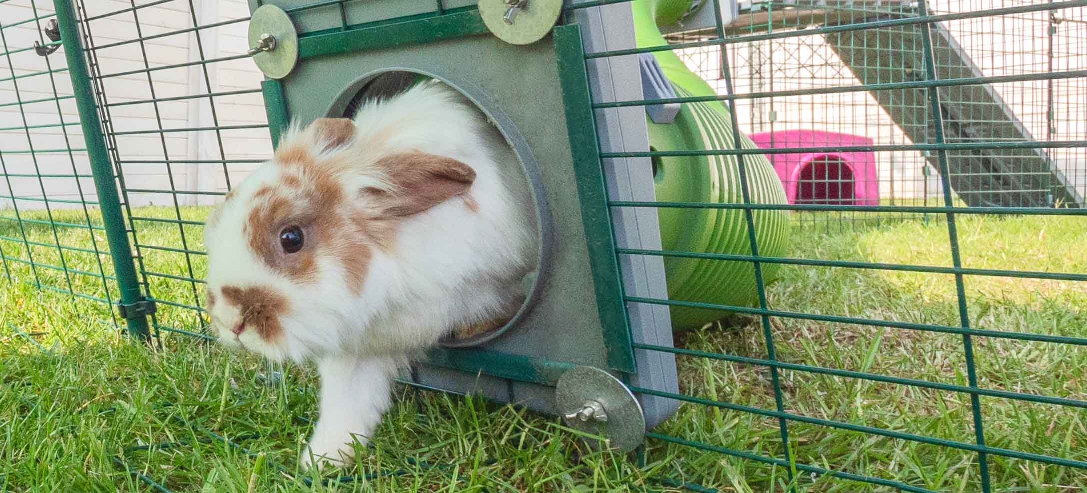 Casa Túnel PEMAR De Grama Natural Para Coelhos E Pequenos Pets