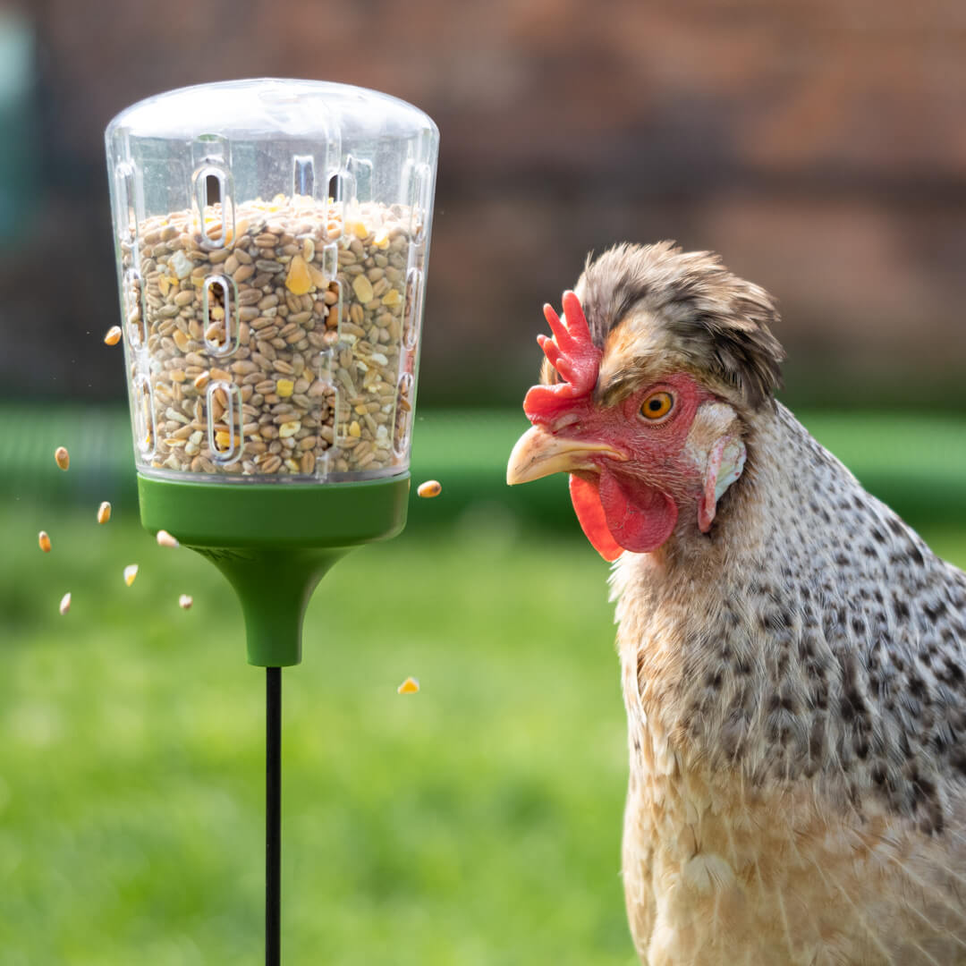 Omlet Treat Dispenser Bundle