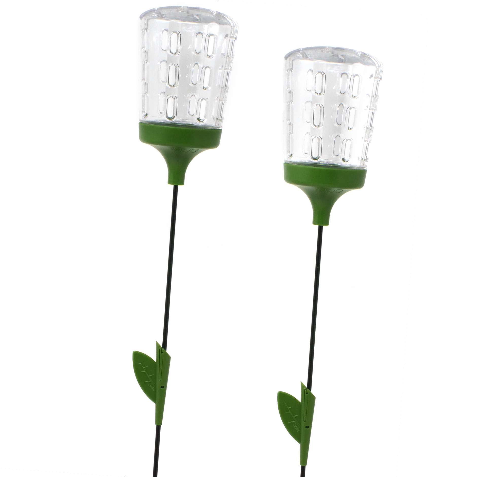 Poppy 6 pk