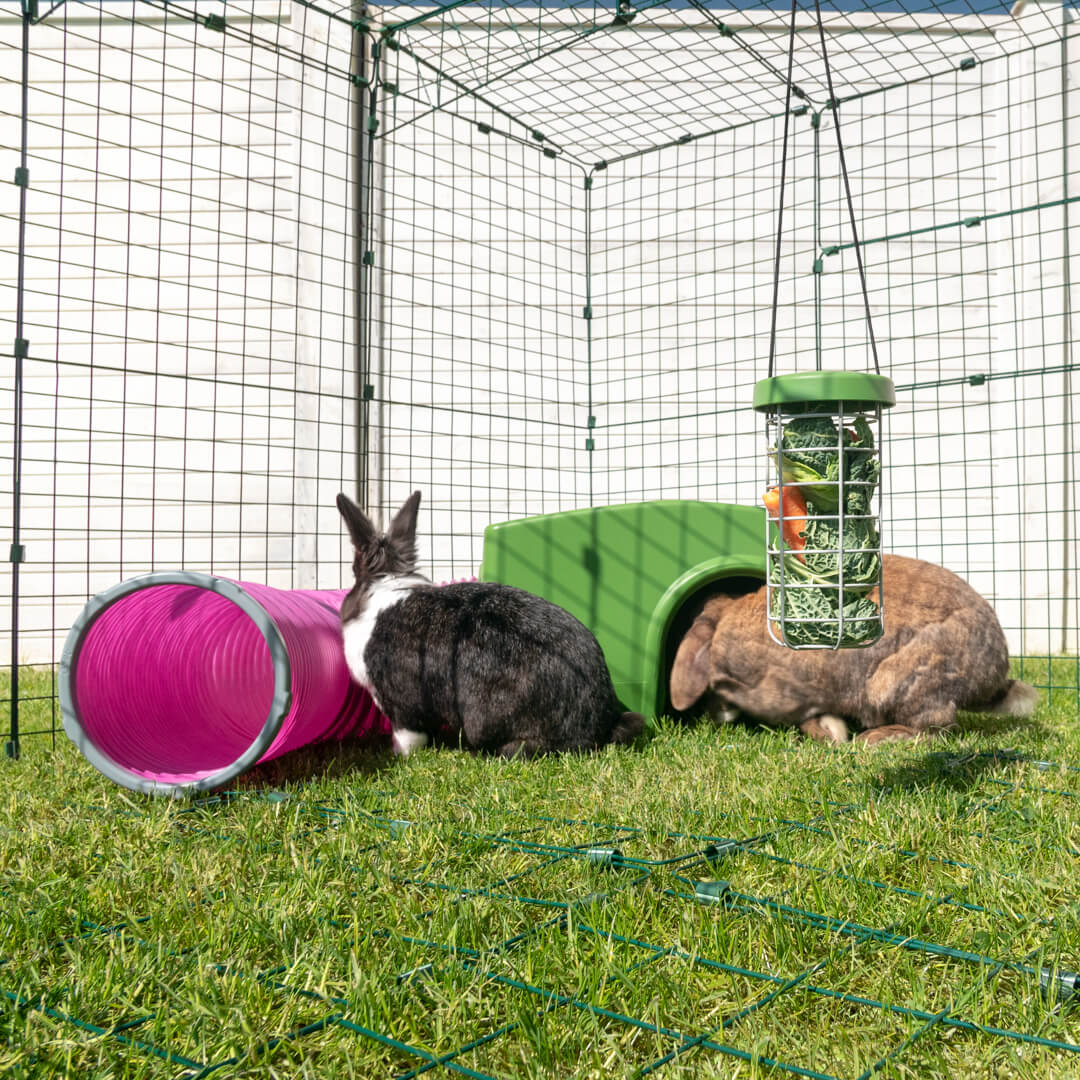 Zippi Rabbit Shelter Green Omlet